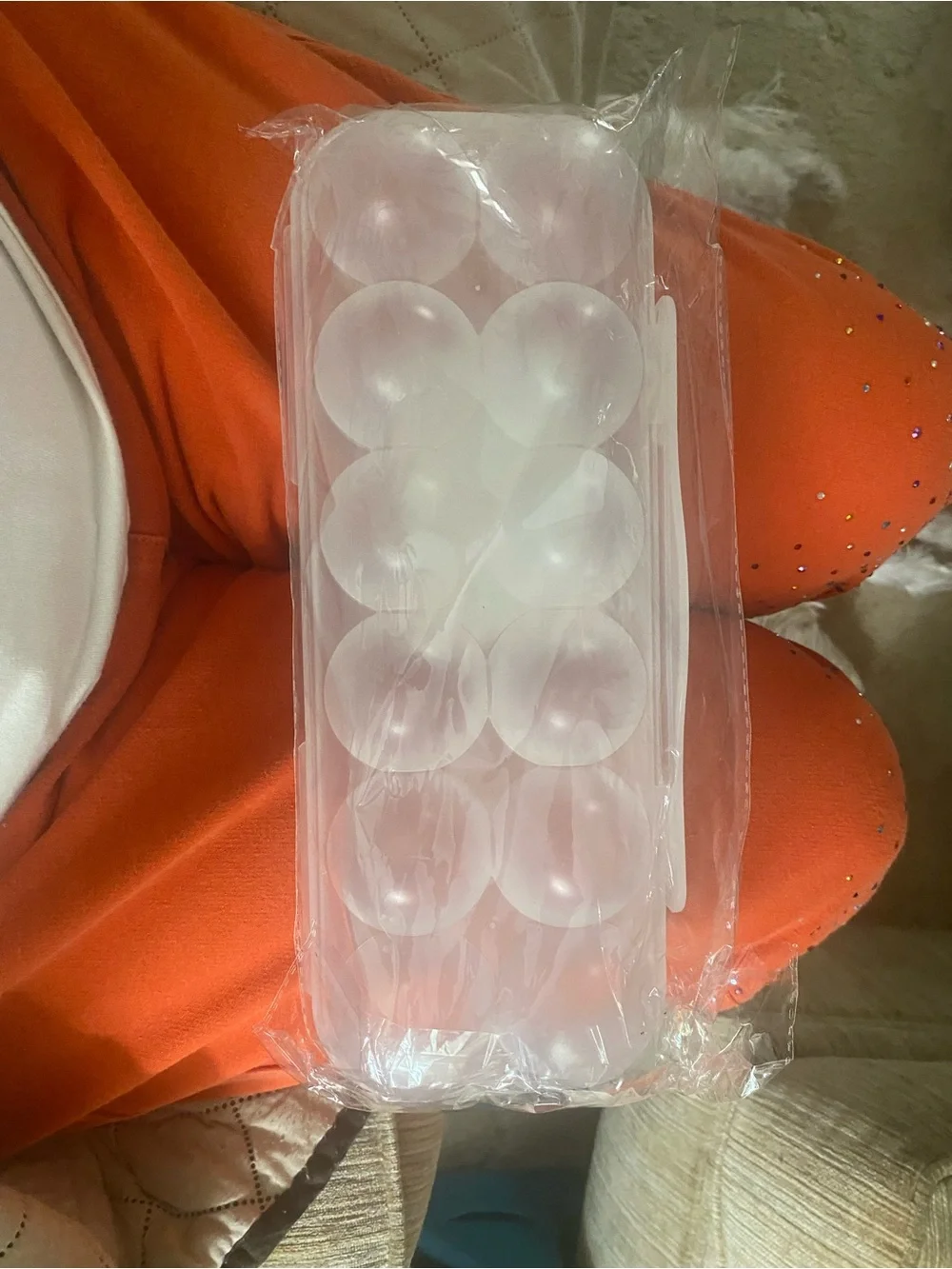 Clear Plastic Egg Storage Case with Lid - Food-Safe Kitchen Organizer